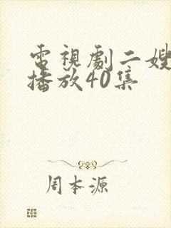 电视剧二嫂全集播放40集封面