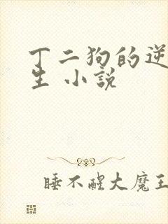 丁二狗的逆袭人生 小说