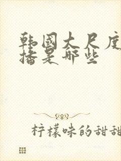 韩国大尺度女主播是哪些