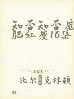 知否知否应是绿肥红瘦16集