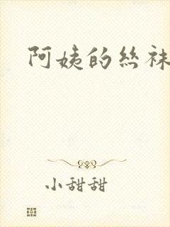 阿姨的丝袜小说