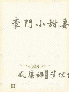 豪门小甜妻小说