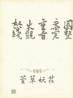 怒火重案国语在线观看完整版电影