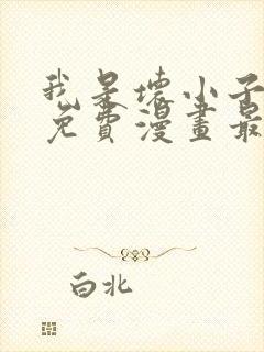 我是坏小子韩漫免费漫画最新章节更