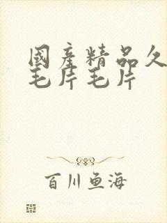 国产精品久久久毛片毛片