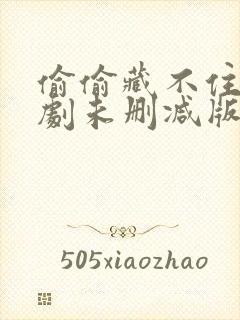 偷偷藏不住电视剧未删减版