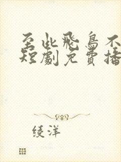 至此飞鸟不相逢短剧免费播放