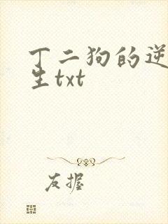 丁二狗的逆袭人生txt封面
