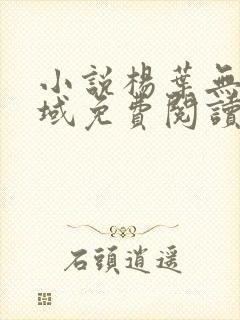 小说杨叶无敌剑域免费阅读