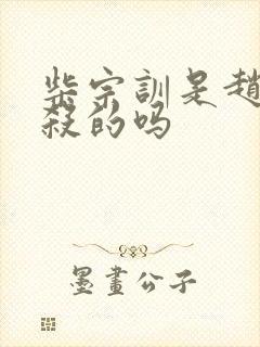 柴宗训是赵匡胤杀的吗