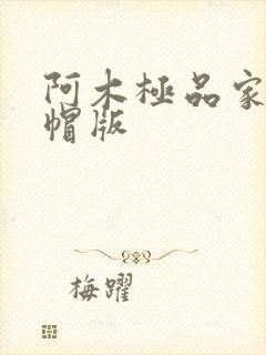阿木极品家丁绿帽版封面