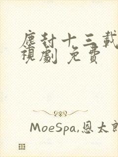 尘封十三载 电视剧 免费