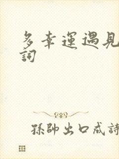 多幸运遇见你歌词封面