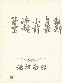 萧峥小月执掌风云超前最新章节封面