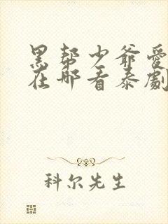 黑帮少爷爱上我在哪看泰剧