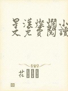 星汉灿烂小说全文免费阅读