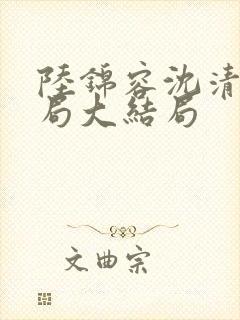 陆锦容沈清羽结局大结局