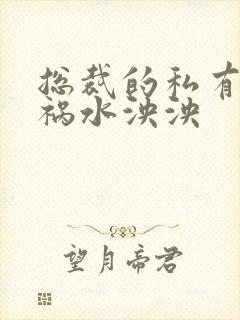 总裁的私有宝贝祸水泱泱