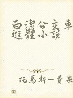 白洁公交车被挺进体小说封面