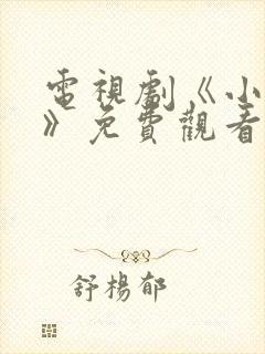 电视剧《小敏家》免费观看封面