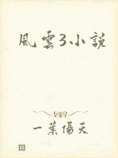 风云3小说