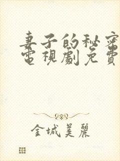 妻子的秘密韩国电视剧免费完整观看