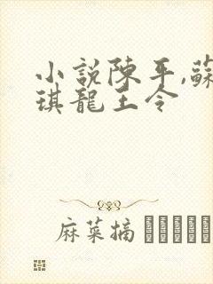 小说陈平,苏雨琪龙王令