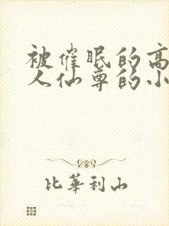 被催眠的高冷美人仙尊的小说