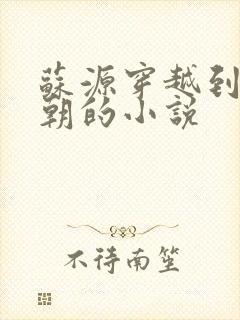 苏源穿越到大乾朝的小说