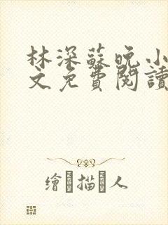 林深苏晚小说全文免费阅读