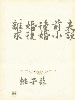 离婚后前夫哭着求复婚小说免费阅读