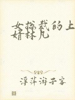 女总裁的上门女婿林凡