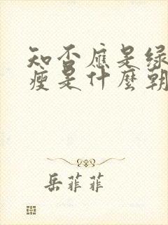 知否应是绿肥红瘦是什么朝代