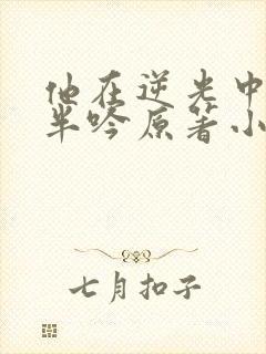 他在逆光中告白半吟原著小说