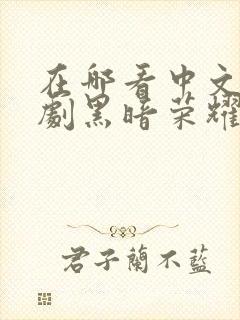 在哪看中文版韩剧黑暗荣耀第二季