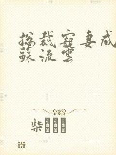 总裁宠妻成瘾 苏流云