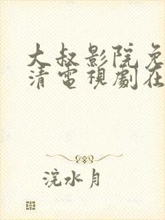 大叔影院免费高清电视剧在线观看