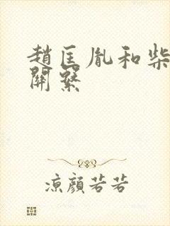 赵匡胤和柴荣的关系封面