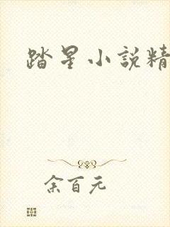 踏星小说精校版