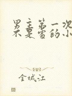 男主第一次女主不是处的小说封面