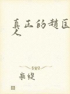 真正的赵匡胤后人封面