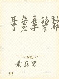 耳朵长的动物除了兔子有哪些