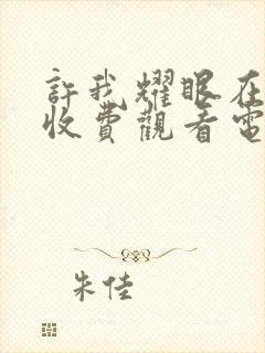 许我耀眼在线免收费观看电视剧全集