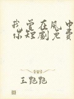 我曾在风中遇见你短剧免费观看