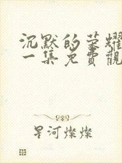 沉默的荣耀第十一集免费观看封面