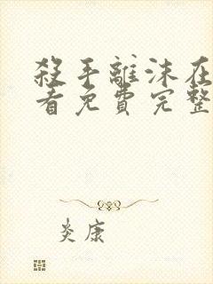 杀手离沫在线观看免费完整版