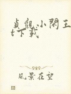 贞观小闲王txt下载