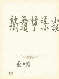 被无情道小师弟倒追了小说txt下载