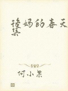 后妈的春天第9集封面