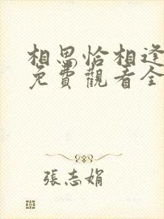 相思恰相逢短剧免费观看全集高清